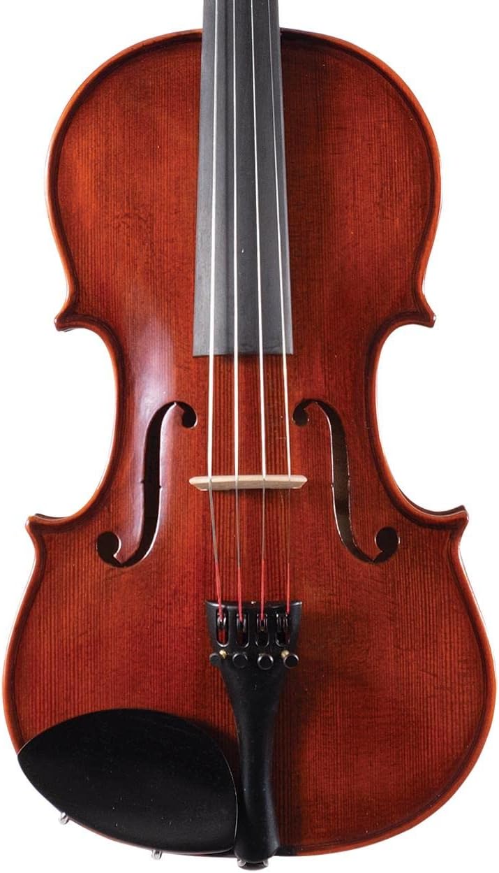 VN850 4/4 VIOLIN