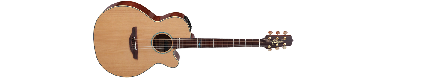 Takamine TSF40C