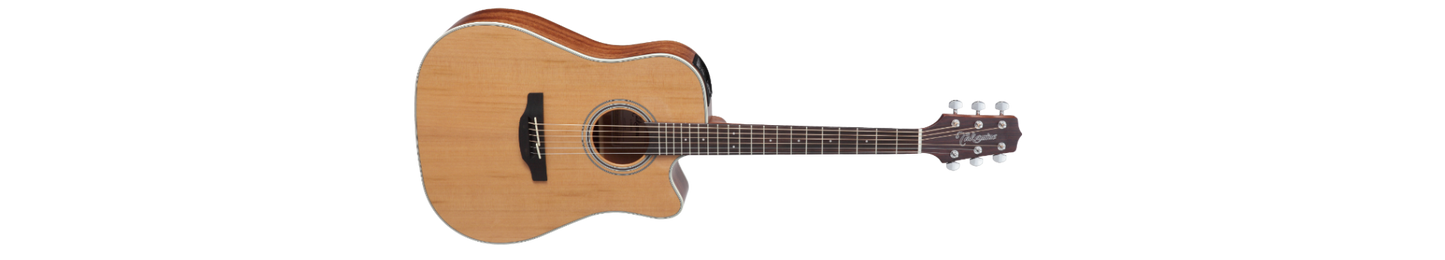 Takamine GD20CE-NS