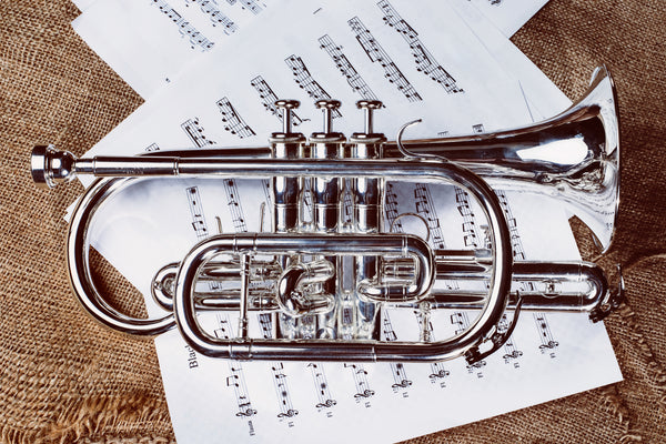 Brasswinds